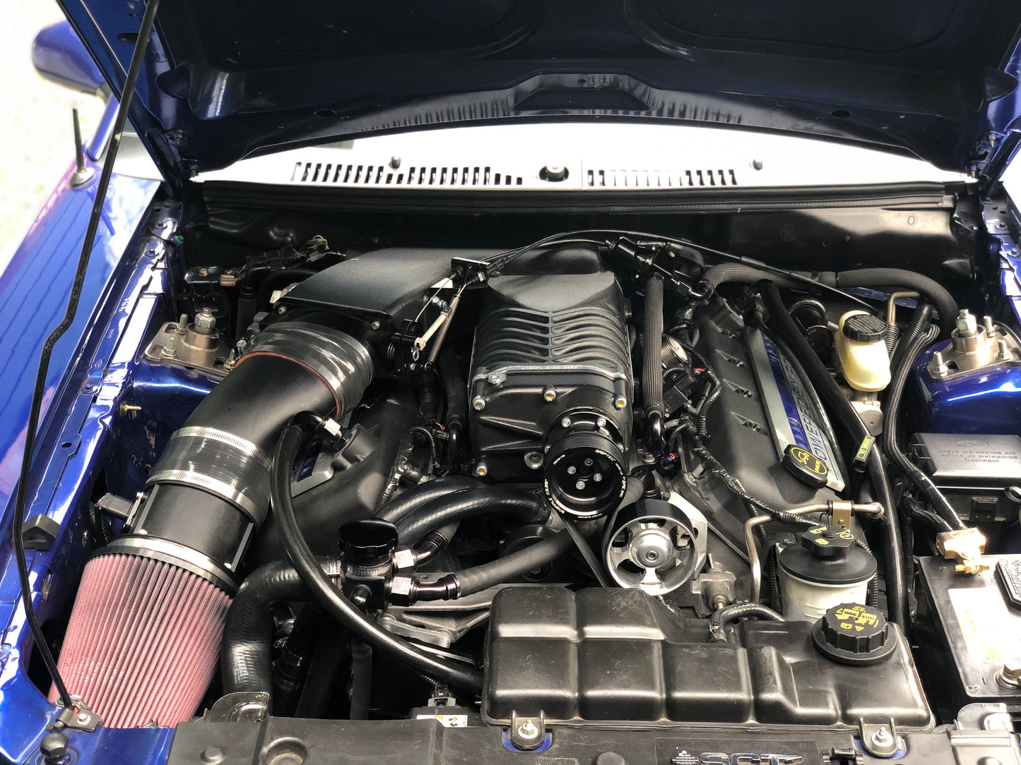 Whipple 03-04 Cobra Gen 4 W175AX (2.9L) SC "Upgrade" Kit / 18psi / Black **For Use With Aftermarket Oval Throttle Body**