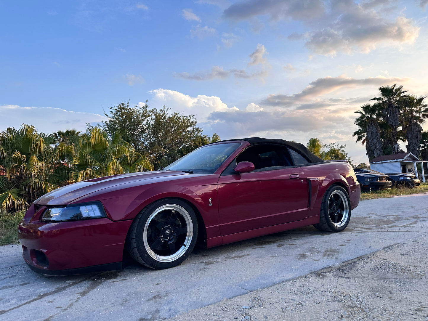 Forgestar D5 Wheels for 99-04 Mustang Cobra / GT