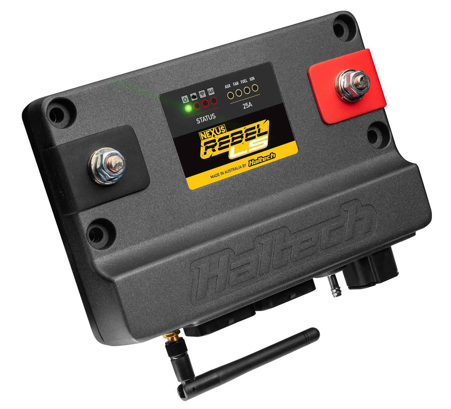 Haltech Custom Remote Tuning