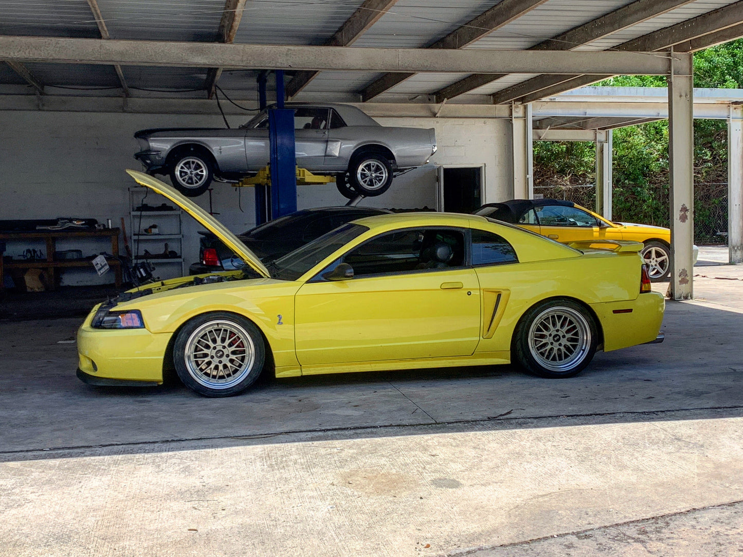 BC BR Series Coilover Kit for 99-04 Cobra