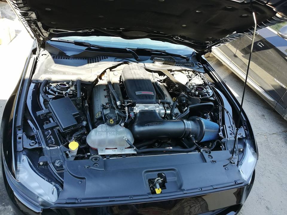 N-CJ13-1 PMAS AIR INTAKE SYSTEM for Cobra Jet Manifold 15-20 Mustang 5.0L